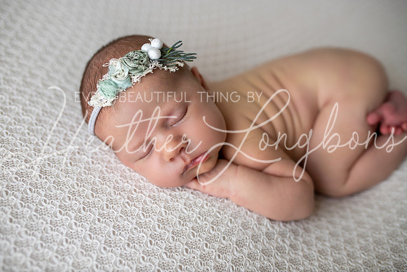 Albion, Illinois Children Family Newborn Photographer Senior Photography Studio Southern Illinois Evansville, Indiana Olney, Illinois Fairfield, Illinois Mt. Carmel, Illinois-76