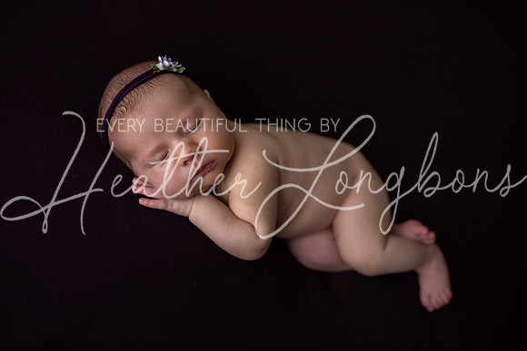 Albion, Illinois Children Family Newborn Photographer Senior Photography Studio Southern Illinois Evansville, Indiana Olney, Illinois Fairfield, Illinois Mt. Carmel, Illinois-77