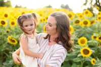 Sunflowers Kelsey -2