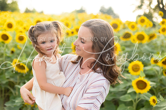 Sunflowers Kelsey -2