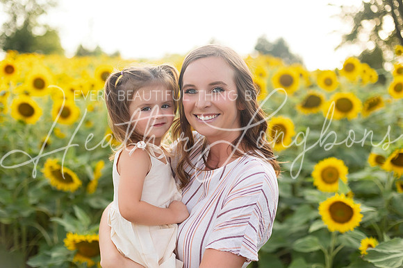 Sunflowers Kelsey -1