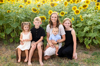 Sunflowers Kelsey -5
