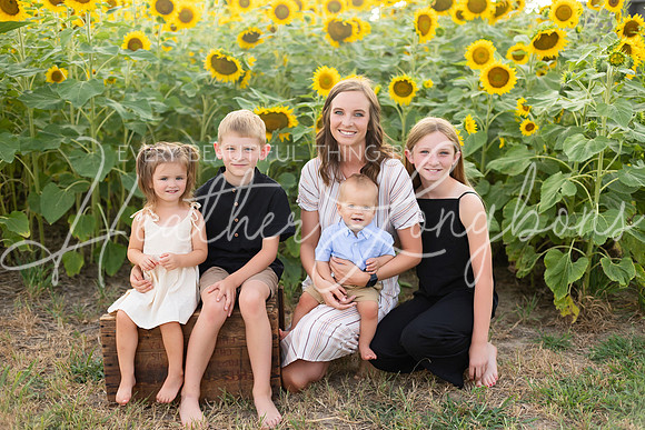 Sunflowers Kelsey -5