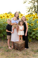 Sunflowers Kelsey -7