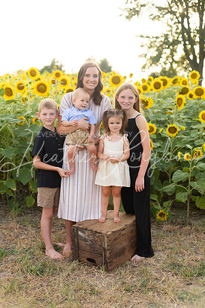 Sunflowers Kelsey -7