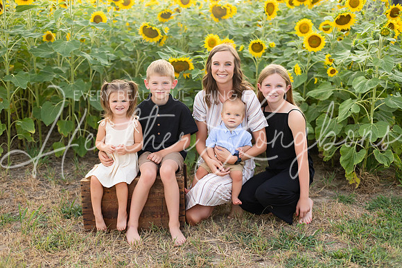 Sunflowers Kelsey -3