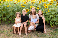 Sunflowers Kelsey -4