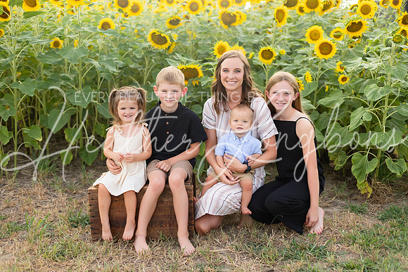 Sunflowers Kelsey -4