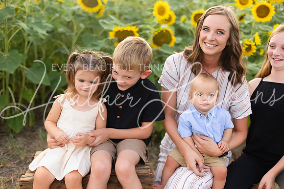 Sunflowers Kelsey -6