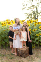 Sunflowers Kelsey -8