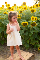 Sunflowers Kelsey -12