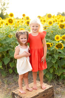 Sunflowers Kelsey -14