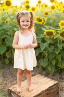 Sunflowers Kelsey -17