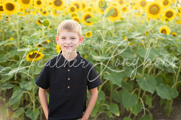 Sunflowers Kelsey -18