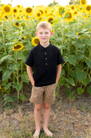 Sunflowers Kelsey -19