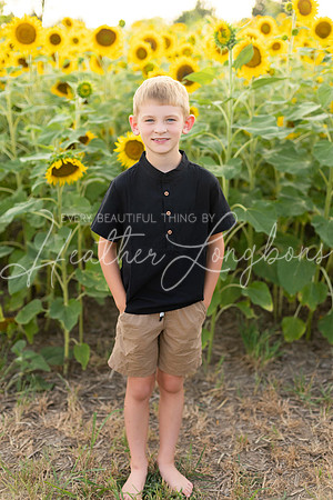 Sunflowers Kelsey -19
