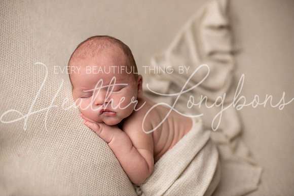 Albion, Illinois Children Family Newborn Photographer Senior Photography Studio Southern Illinois Evansville, Indiana Olney, Illinois Fairfield, Illinois Mt. Carmel, Illinois-1