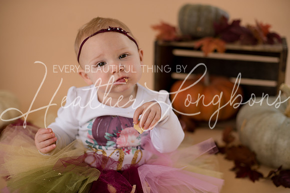 Albion, Illinois Children Family Newborn Photographer Senior Photography Studio Southern Illinois Evansville, Indiana Olney, Illinois Fairfield, Illinois Mt. Carmel, Illinois-7
