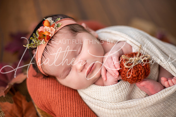Albion, Illinois Children Family Newborn Photographer Senior Photography Studio Southern Illinois Evansville, Indiana Olney, Illinois Fairfield, Illinois Mt. Carmel, Illinois-35