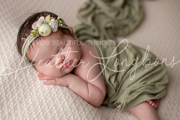 Albion, Illinois Children Family Newborn Photographer Senior Photography Studio Southern Illinois Evansville, Indiana Olney, Illinois Fairfield, Illinois Mt. Carmel, Illinois-36