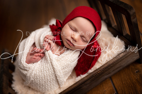 Albion, Illinois Children Family Newborn Photographer Senior Photography Studio Southern Illinois Evansville, Indiana Olney, Illinois Fairfield, Illinois Mt. Carmel, Illinois-57