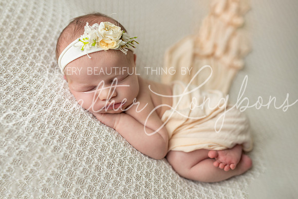 Albion, Illinois Children Family Newborn Photographer Senior Photography Studio Southern Illinois Evansville, Indiana Olney, Illinois Fairfield, Illinois Mt. Carmel, Illinois-58