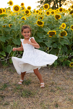 Sunflowers Sammy-12