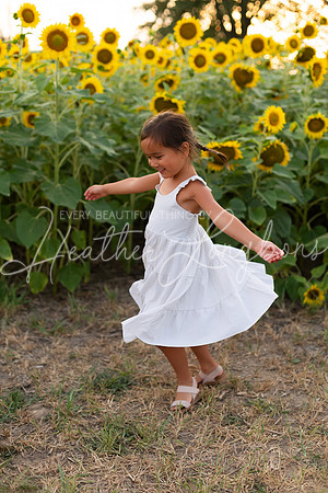 Sunflowers Sammy-13
