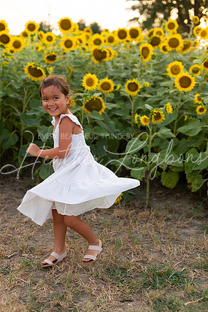 Sunflowers Sammy-14