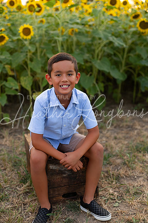 Sunflowers Sammy-20