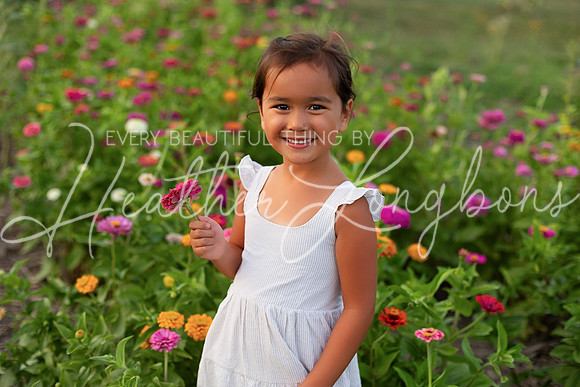 Sunflowers Sammy-30