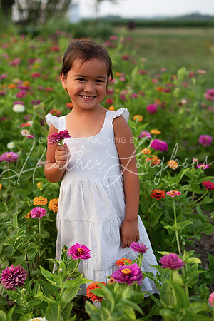 Sunflowers Sammy-31