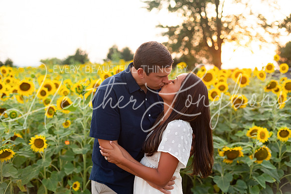 Sunflowers Sammy-35