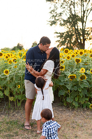 Sunflowers Sammy-36