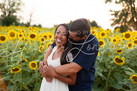 Sunflowers Sammy-38