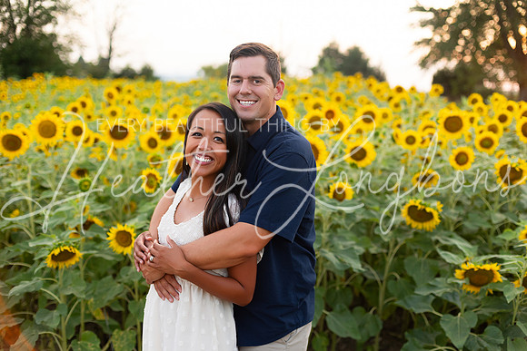 Sunflowers Sammy-37