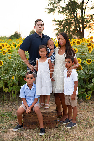 Sunflowers Sammy-39