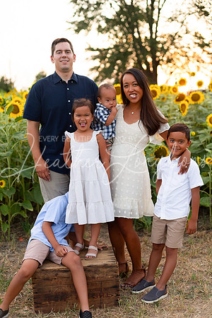 Sunflowers Sammy-41