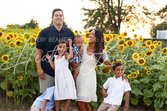 Sunflowers Sammy-43