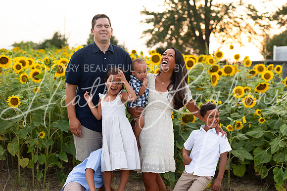 Sunflowers Sammy-44