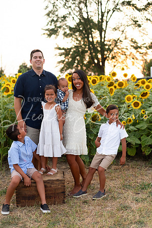 Sunflowers Sammy-42