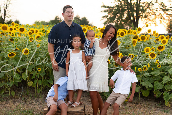 Sunflowers Sammy-45
