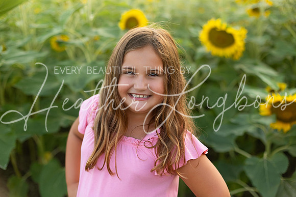 Sunflowers Harrison Family-15