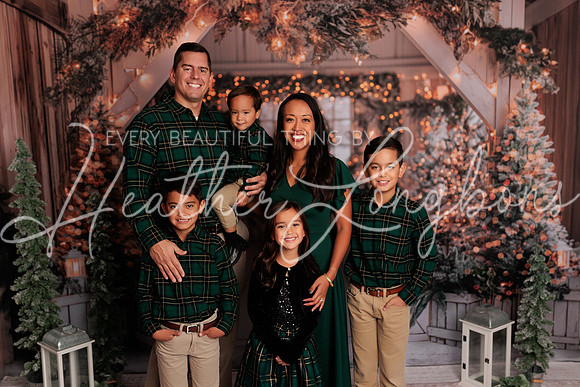 2024 Christmas McDaniel-6
