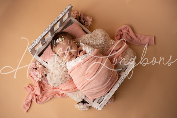Albion Illinois Photographer Newborn Photography Baby's First Year Family Siblings studio portraits southern Illinois -9
