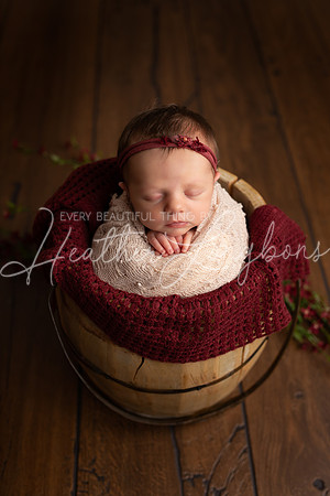 Albion Illinois Photographer Newborn Photography Baby's First Year Family Siblings studio portraits southern Illinois -25