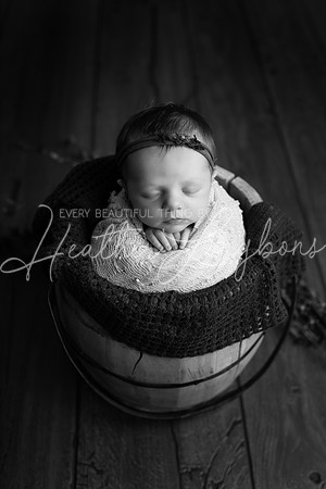 Albion Illinois Photographer Newborn Photography Baby's First Year Family Siblings studio portraits southern Illinois -26