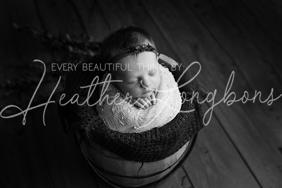 Albion Illinois Photographer Newborn Photography Baby's First Year Family Siblings studio portraits southern Illinois -28