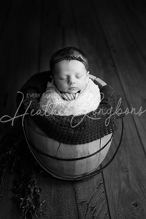 Albion Illinois Photographer Newborn Photography Baby's First Year Family Siblings studio portraits southern Illinois -30