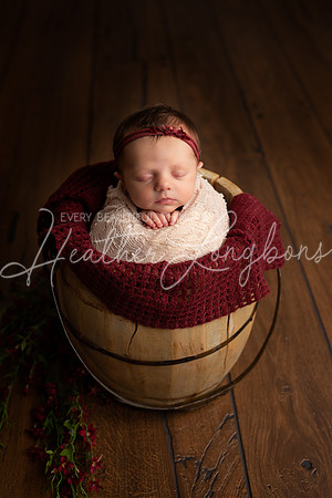 Albion Illinois Photographer Newborn Photography Baby's First Year Family Siblings studio portraits southern Illinois -29